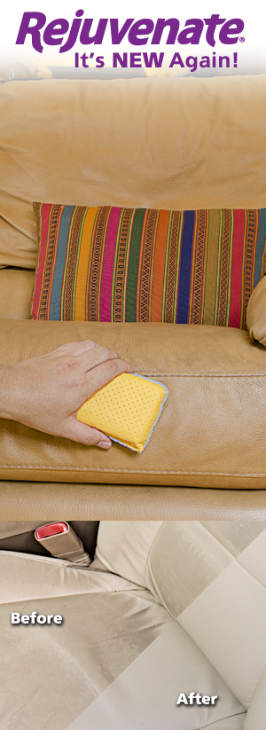 Rejuvenate Leather & Vinyl Cleaner